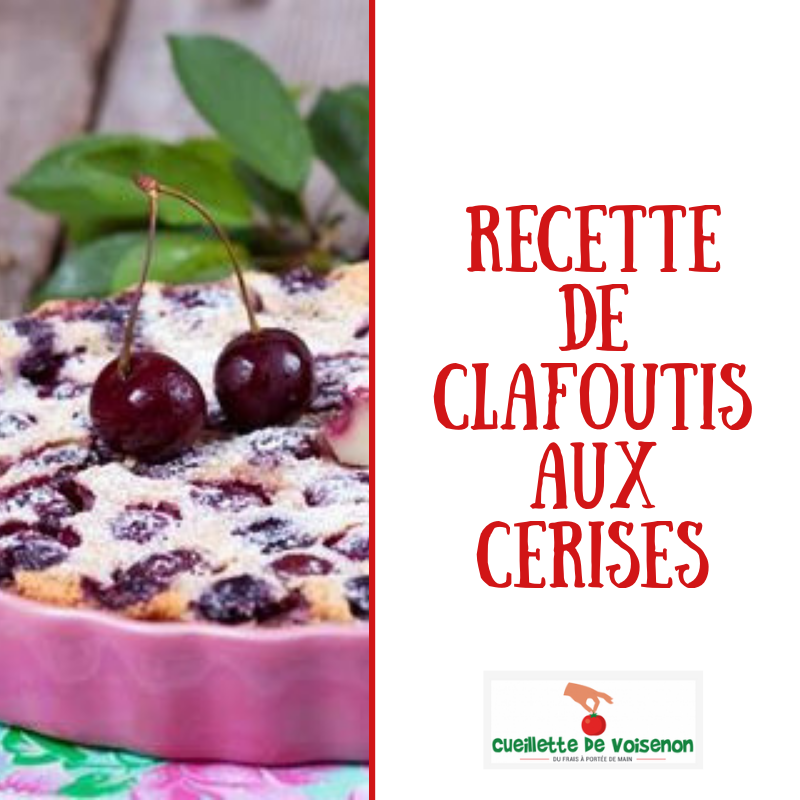 Une recette de clafoutis aux cerises