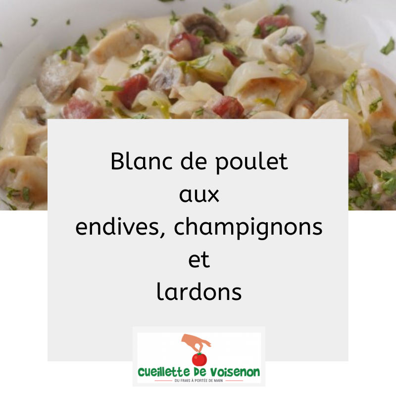 Blanc de poulet aux endives, champignons et lardons