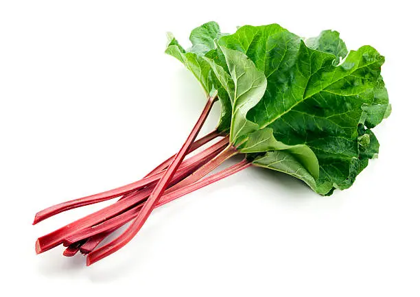 Quand commence la saison de la rhubarbe ?