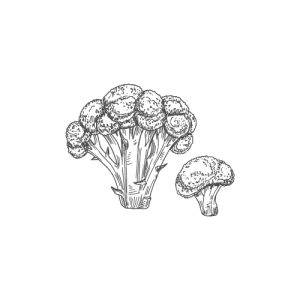 Brocoli