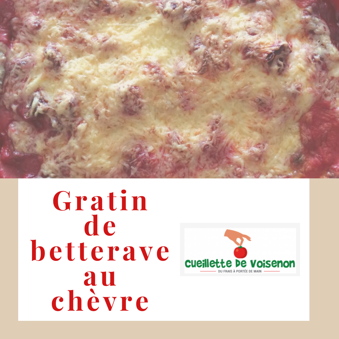 Recette de Gratin de betterave au chèvre