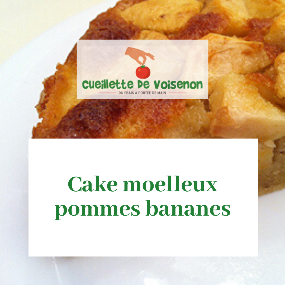 Cake moelleux pommes bananes