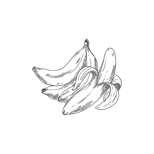 Bananes en dessin sur fond blanc